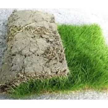 Super Natural Grass